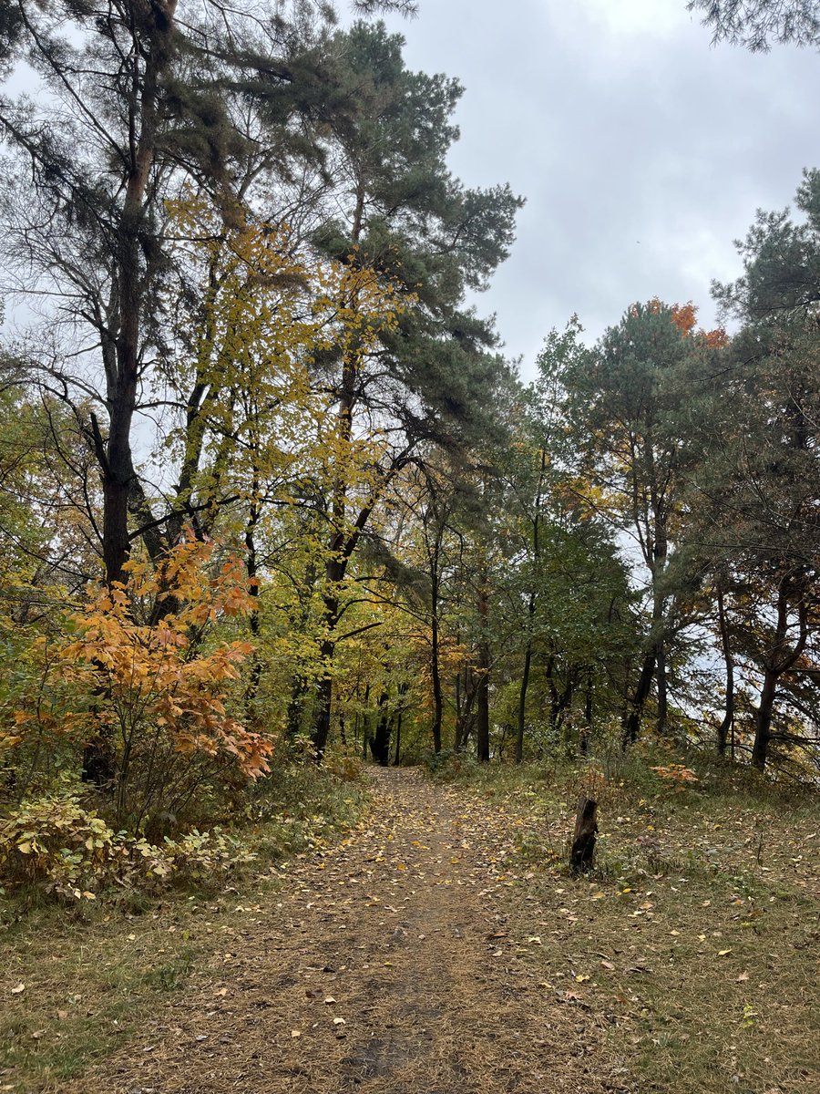 черемхова віхола tweet media