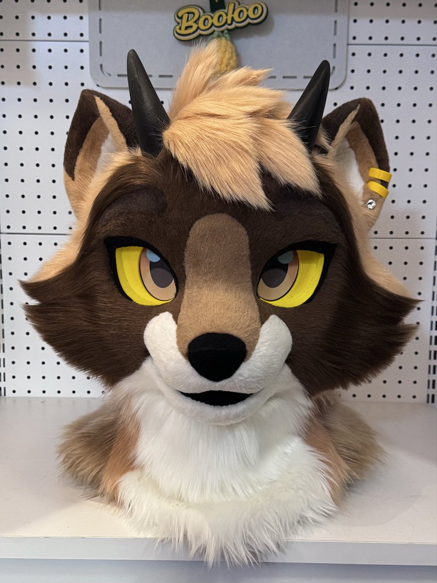 ⚪️🟤🟡
He has safely arrived home! 
Commission from <a href="/CreaturedBeast/">Creature</a> 

#furry #fursuit #fursuitmaker #fursuits