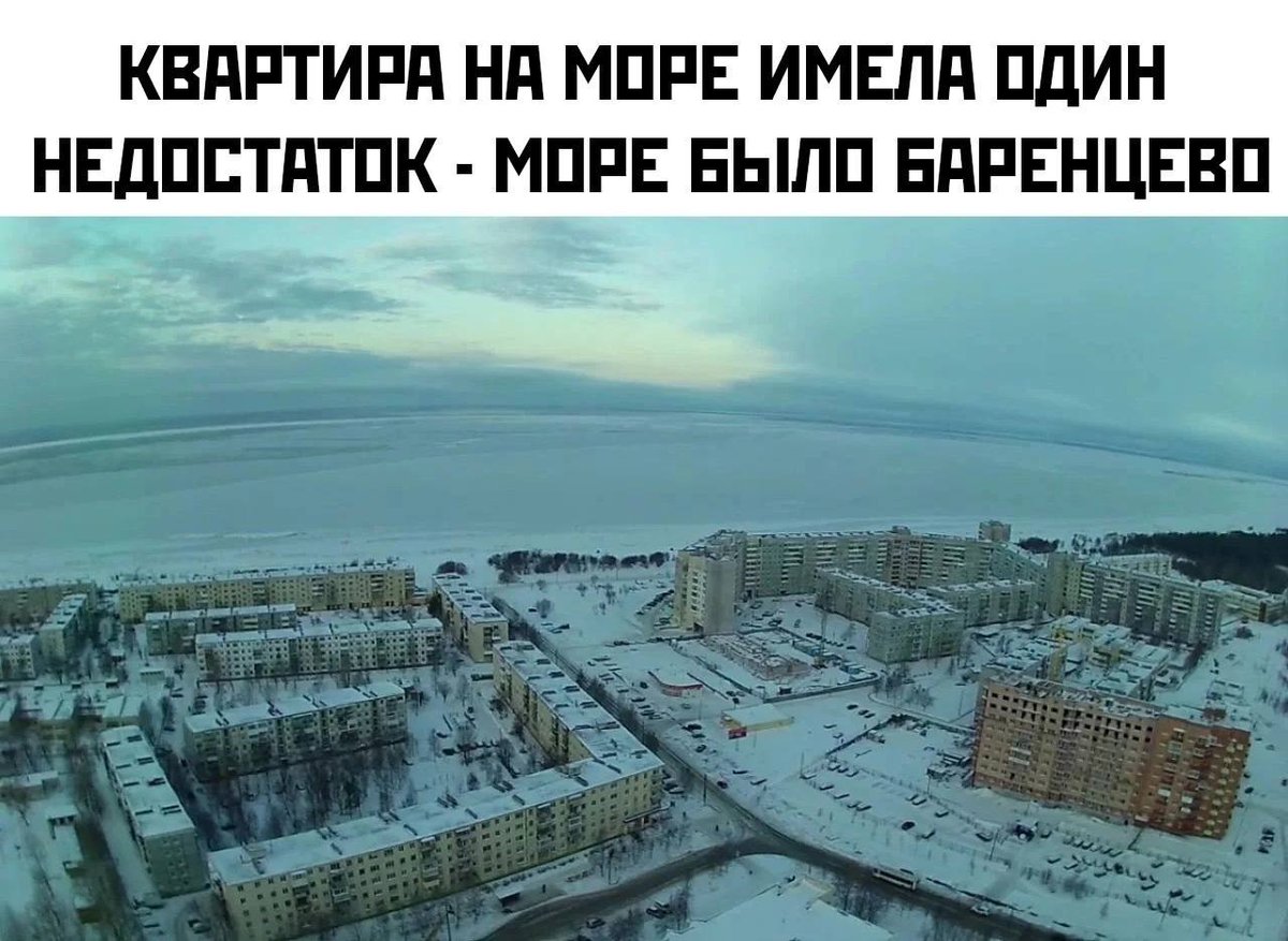 Gribanov ☢ ᓚᘏᗢ (@gribanov) on Twitter photo 
