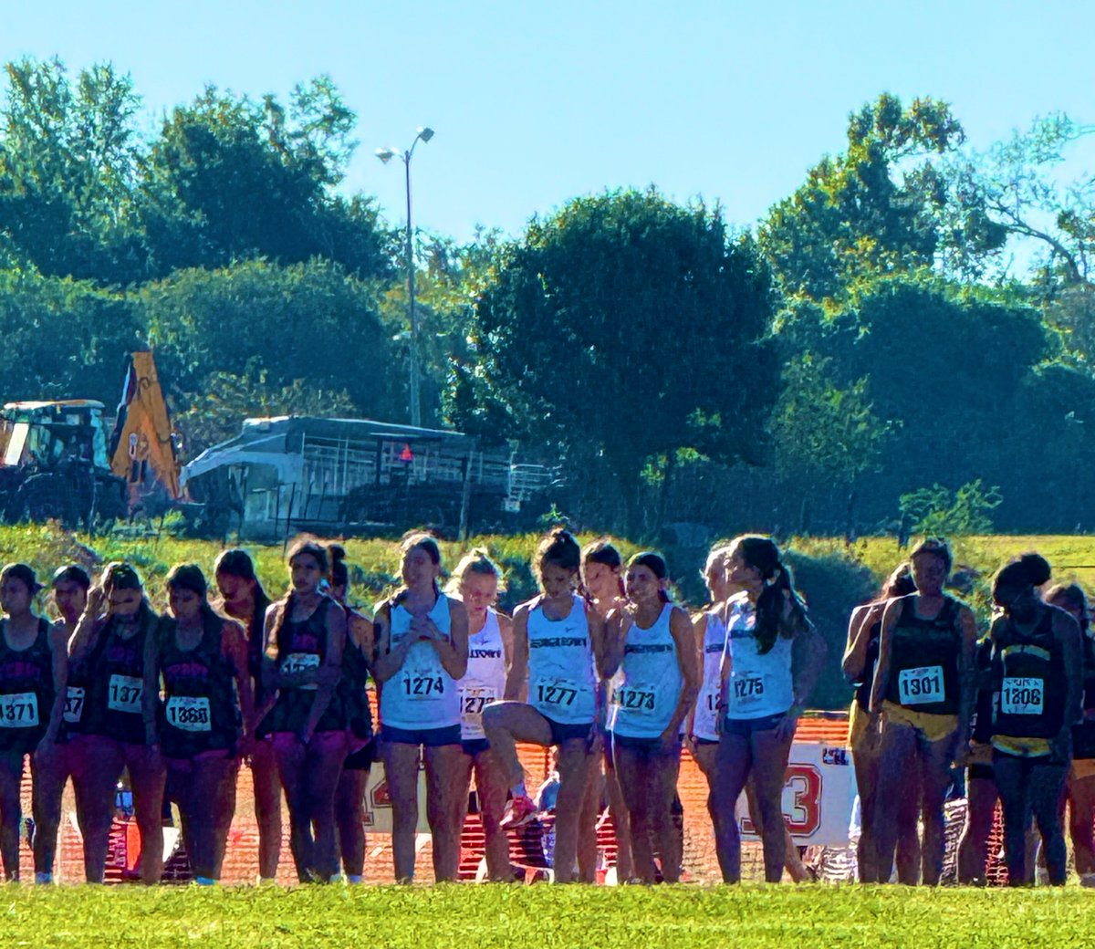 Rhonda Farney tweet media