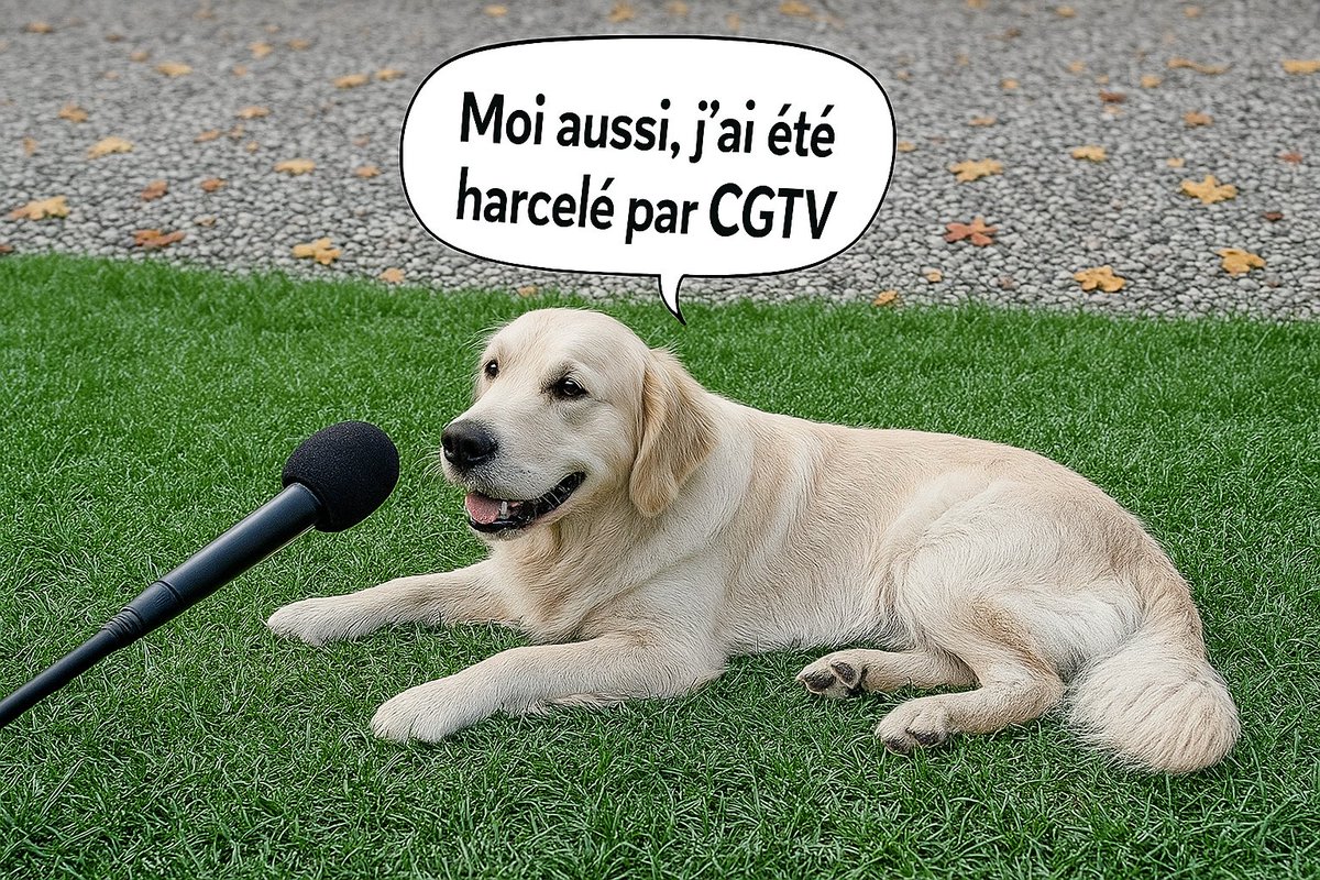 x_mandalor's tweet image. Alerte : Le témoignage exclusif de Wendy, le chien de la #StarAcademy   #substack