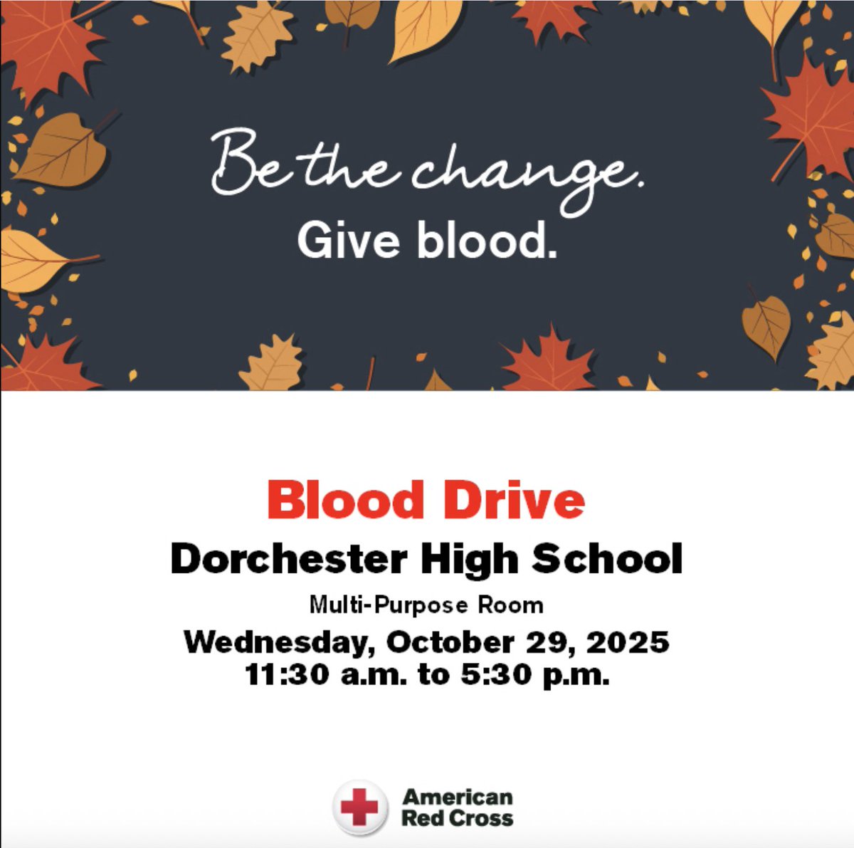 Dorchester School tweet media