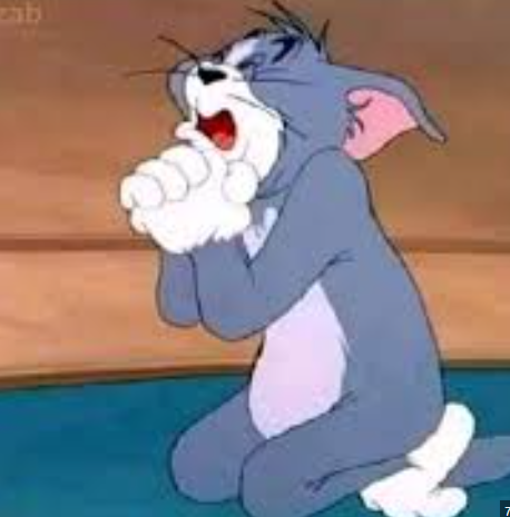 codeixx's tweet image. me rn: ya Allah just one chocolate bar pls 🙏🍫