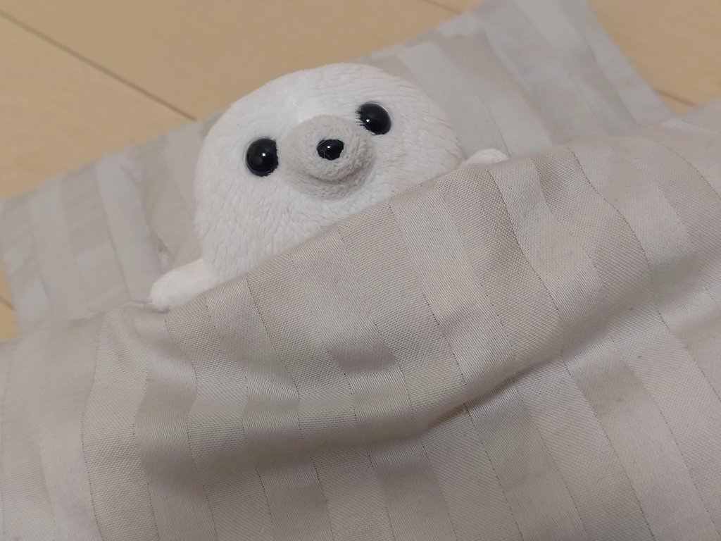 おやすみ…🌙