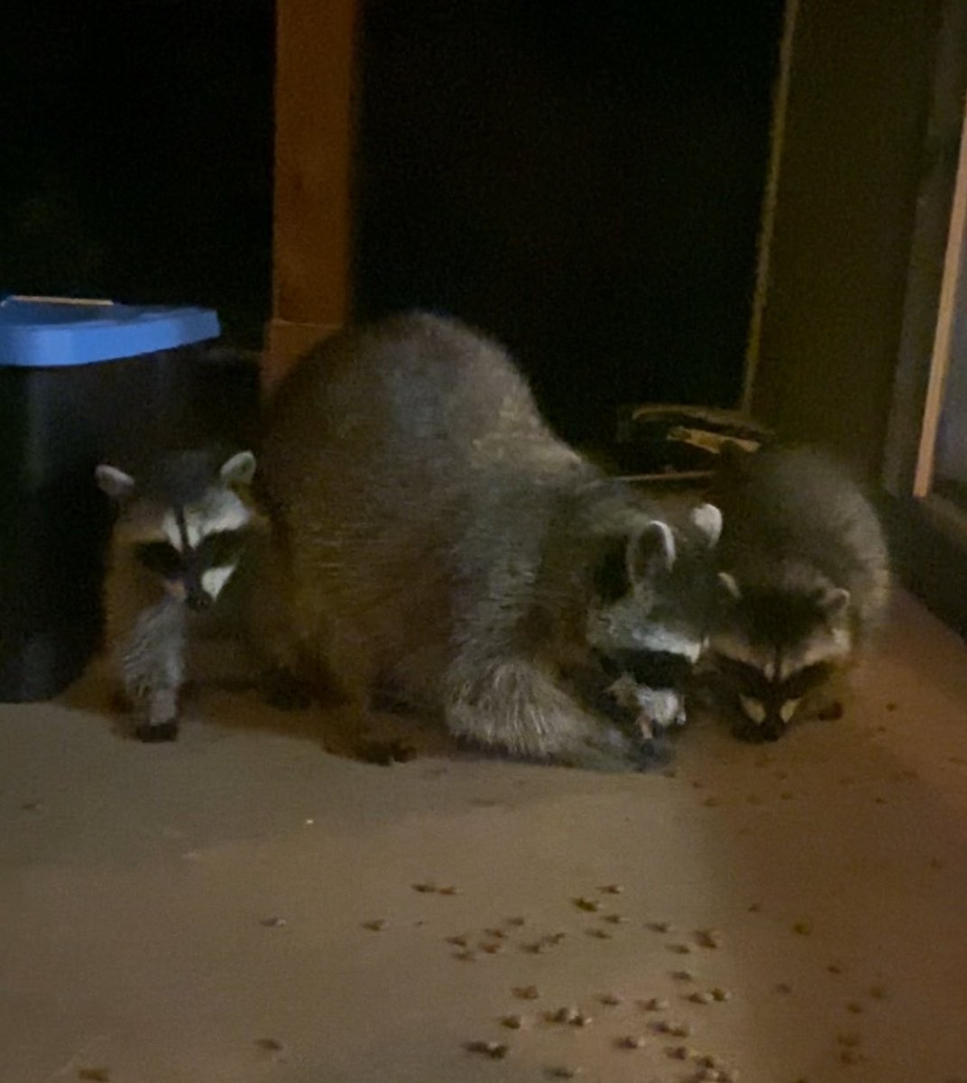 In other news: 2 more babies 🥰