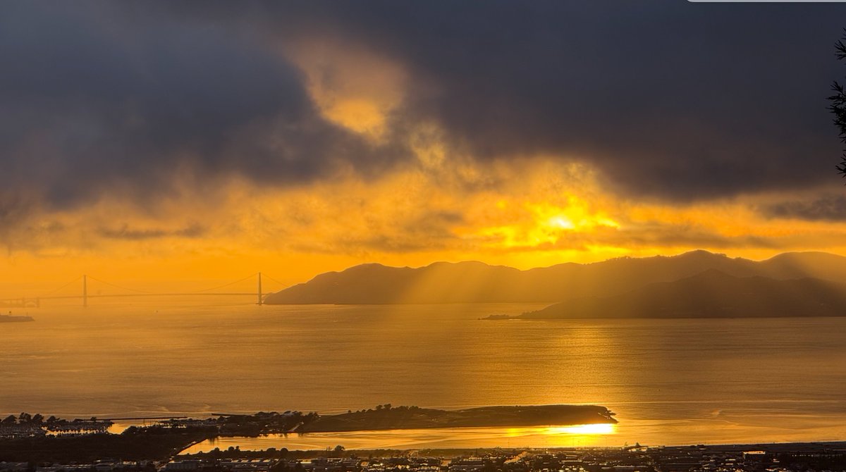 Emma Pierson (@2plus2make5) on Twitter photo Our lab <a href="/Berkeley_EECS/">UC Berkeley EECS</a> is recruiting PhD students! We develop ML methods for the health + social sciences in order to build a fairer, healthier world.
Apply to <a href="/Berkeley_EECS/">UC Berkeley EECS</a> or <a href="/UCJointCPH/">UC Joint Computational Precision Health Program</a> and mention my name in your application!
More info: people.eecs.berkeley.edu/~emmapierson/j… Our lab <a href="/Berkeley_EECS/">UC Berkeley EECS</a> is recruiting PhD students! We develop ML methods for the health + social sciences in order to build a fairer, healthier world.
Apply to <a href="/Berkeley_EECS/">UC Berkeley EECS</a> or <a href="/UCJointCPH/">UC Joint Computational Precision Health Program</a> and mention my name in your application!
More info: people.eecs.berkeley.edu/~emmapierson/j…