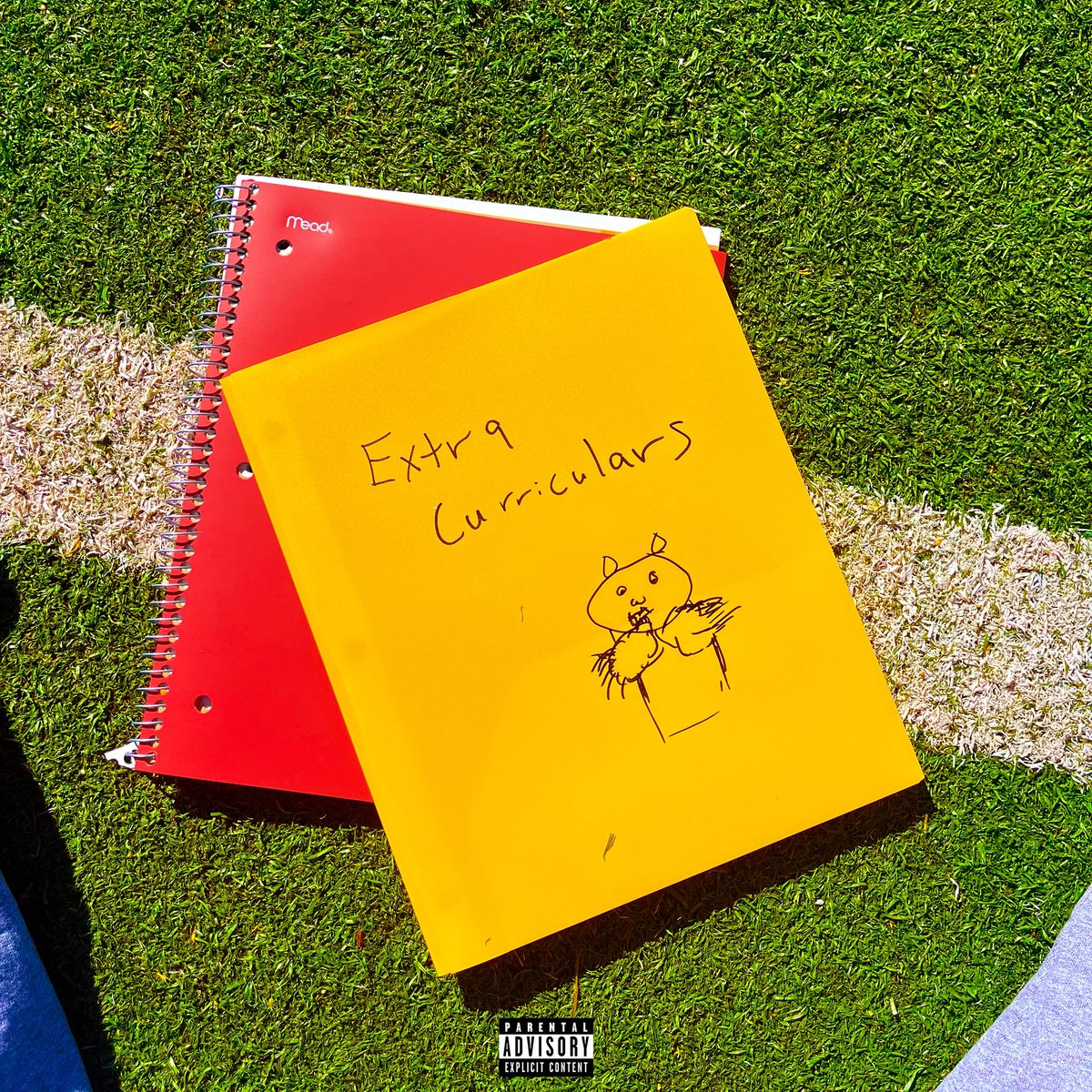 Quilleon tweet media