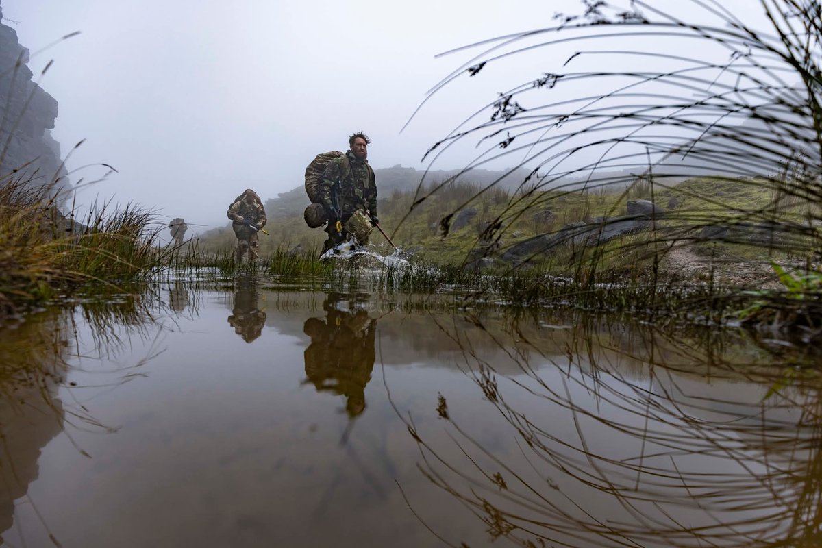 Michael Bauer tweet media