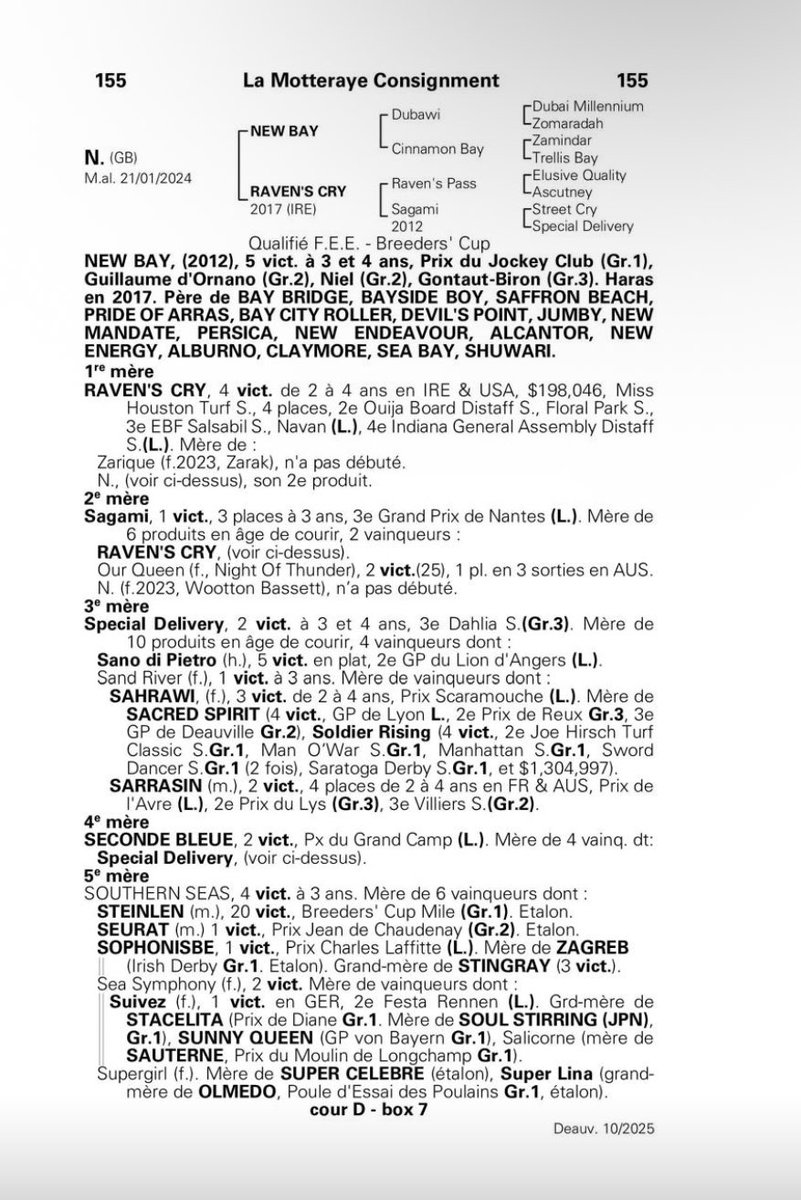 Don’t miss Lot 155 <a href="/InfoArqana/">ARQANA</a> October, a precocious son of <a href="/BallylinchStud/">BallylinchStud</a> New Bay consigned by <a href="/La_Motteraye/">La Motteraye</a> He is out of <a href="/CarisbrookeStud/">Carisbrooke Stud</a> mare Ravens Cry, a stakes winning daughter of Ravens Pass from the family of Sacred Spirit, Sarasin &amp; Stacelita.