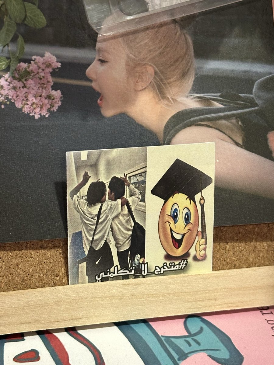 🎓🎓🎓⭐️⭐️⭐️