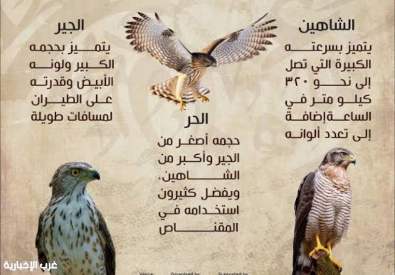 موسم قنص #الصقور في المملكة العربية #السعودية: تراث يمتد عبر #الأجيال 
garbnews.net/news/s/250960
