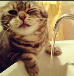 codeixx's tweet image. fajr in winter be like:
me: trying to survive wudu
water: ❄️💀