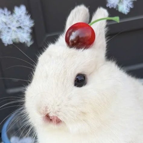 🍒