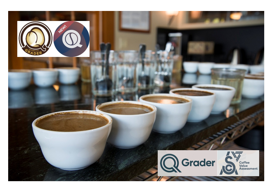 Coffee Enterprises launches Coffee Value Assessment (CVA) testing packages ☕ #WeTestCoffee

CVA testing and SCAA 2004 Cupping forms are both available for #coffee testing 

comunicaffe.com/coffee-enterpr…

#QGrader #KnowYourBean #Quality #DrinkCoffeeEarlyAndOften #SniffSlurpSpit ☕