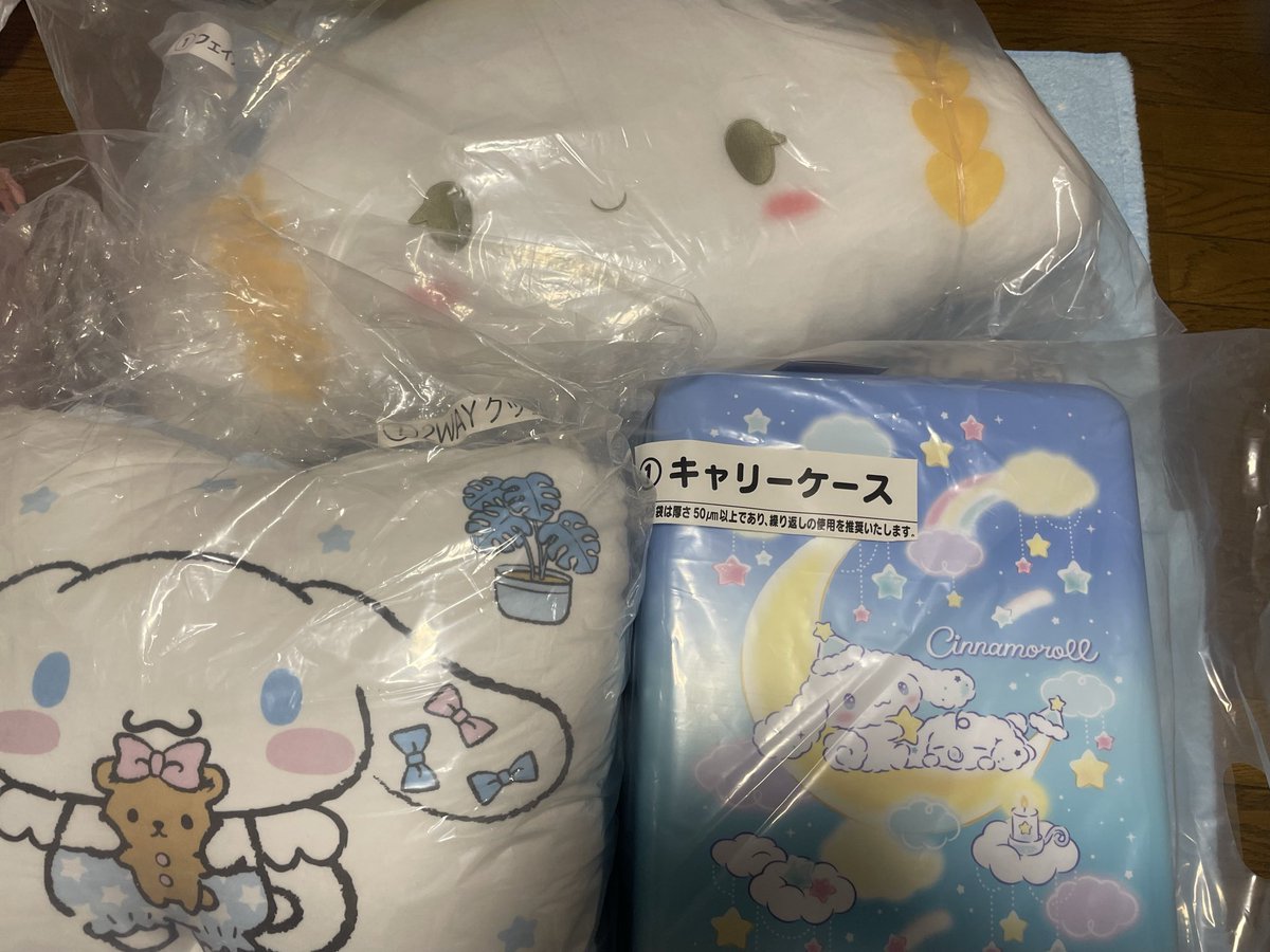 ゆきんこ (@FIsjQ57ixx4uuO4) / Posts / X