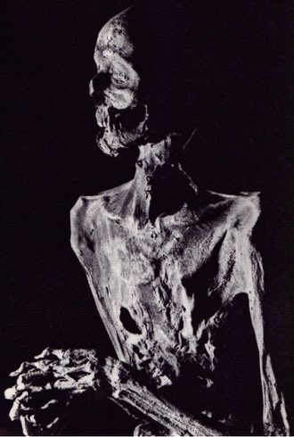 the mummified corpse of a monk named Zenkai Shōnin (📸: Naitō Masatoshi)