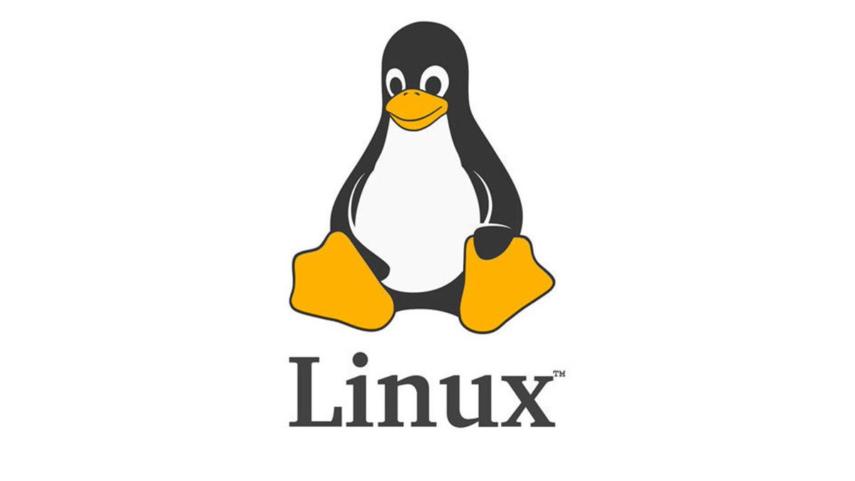 sysxplore's tweet image. What's the first thing you do after a new Linux installation?