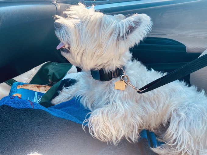 Casey K 🌻🦚🌈 XX tweet media