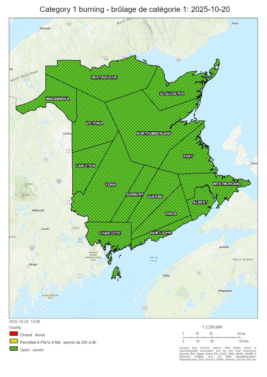 NB Forest Fires tweet media