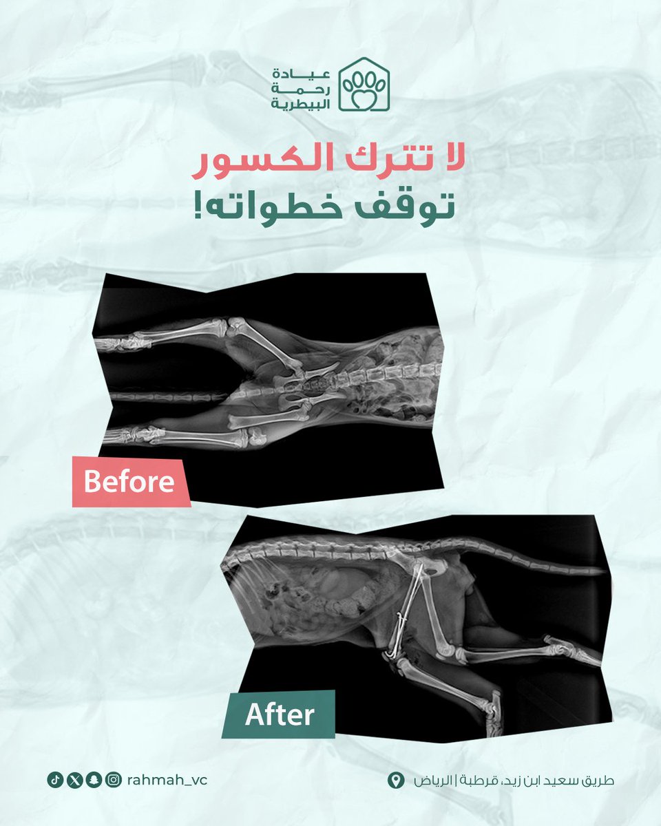 إصابات، كسور، أو مشاكل بالمفاصل … كلها ممكن تصيب أليفك 🐾

أطبائنا عندهم خبرة كبيرة في تشخيص الكسور والإصابات، من أول الأشعة وحتى العلاج.. عيادتنا مجهزة لأي حالة مهما كانت صعبة!💙

#الرياض #الخريف #الفحص_المبكر #عيادة_رحمة_البيطرية #حيوانات_أليفة