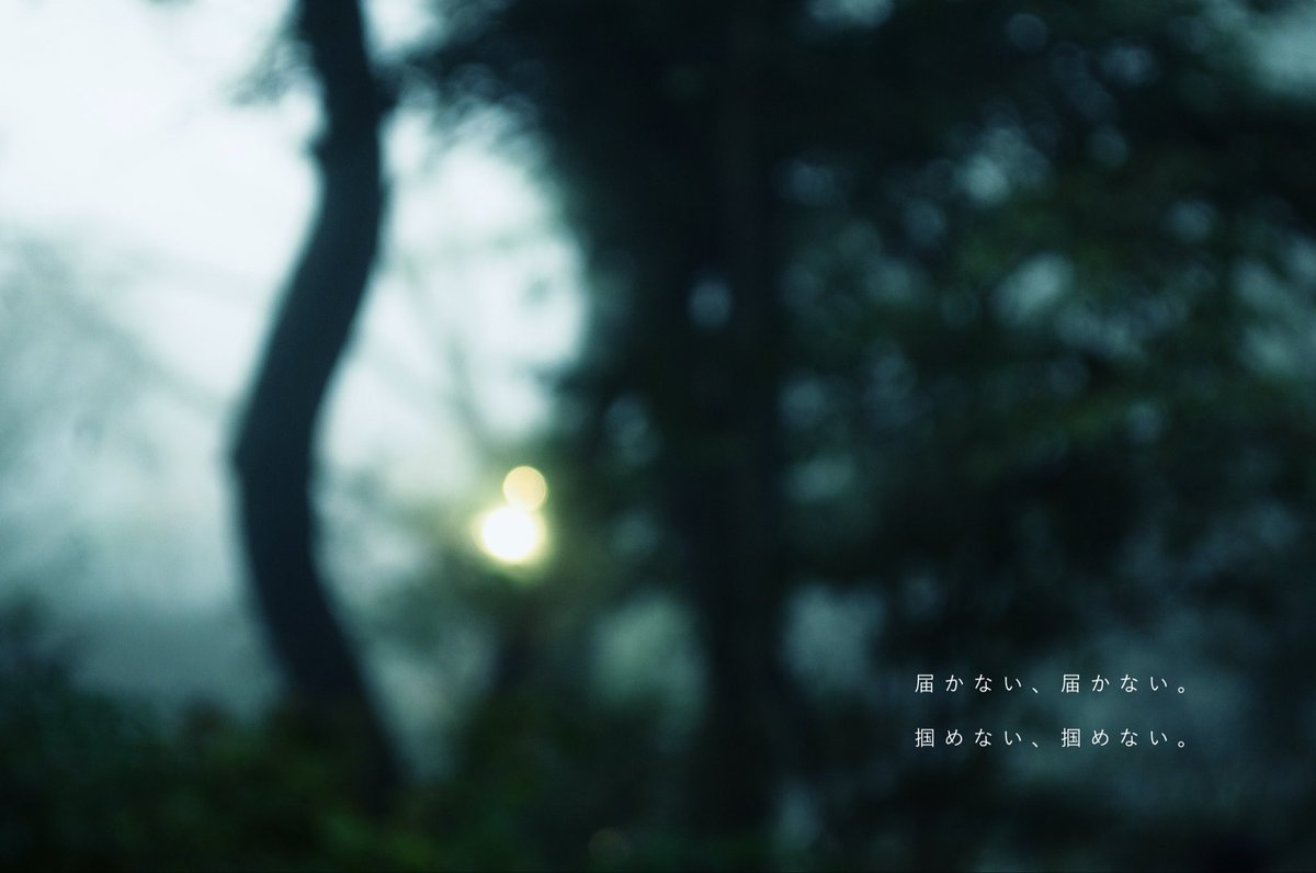ぼんやり (@ooa381) on Twitter photo 