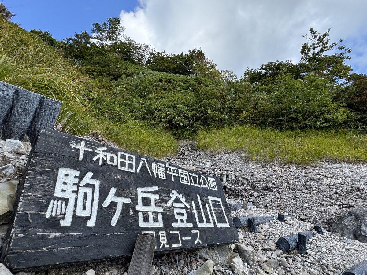 文太 tweet media