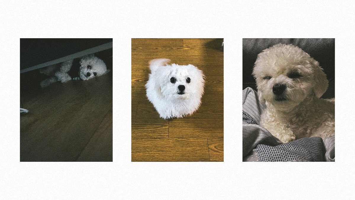 ๐ฉ๐๐๐พ๐. tweet media