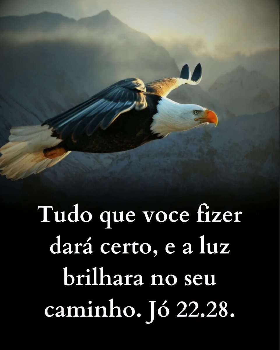 Alexandre (@alexand85081112) on Twitter photo 