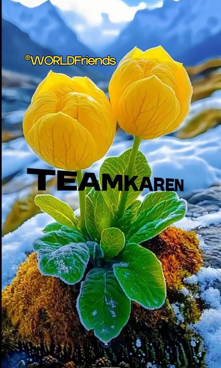 #TeamKaren🌏✨ 
®WORLDFriends 
<a href="/V13lula/">Karen Lúcia♀️🚩🌵</a> 
<a href="/9H99A/">دلال الشمري ☪︎🇸🇦</a>
<a href="/hame7/">🅷🅰🅼🅴🅳 🩸</a> 
<a href="/7qqmr/">𝓦𝓐𝓐𝓓 2</a> 
<a href="/bi1k2/">Naqeeb Khan anjum</a> 
<a href="/lxlj6/">✈︎إِبـْـــنُ الـــدَوْلَــةِ♕︎␈</a> 
<a href="/1_i_1i/">🔥🅰️ 🇩 🅰️ 🇲🔥</a>
<a href="/A_2SF/">S Rahe</a>
<a href="/Ghi1D/">غـــــــيداء 🌺</a>
<a href="/S111_9/">SHAHID MEHMOOD</a>
<a href="/jitin84/">Jitin Sharma</a>
<a href="/20ysf1/">Yusuf</a>
<a href="/nor3rh/">💎Nor elrhman💎</a> 
<a href="/md1_41/">Fabien Courtiade</a>
<a href="/WidzDj/">꧁🆆🅸🅳🅸🅰🅽🅰🅽🆃🅾꧂</a>
<a href="/SEltaer/">Sayed zenhom altayar</a>
<a href="/tial1221/">R</a>
<a href="/y70_txy/">#TeamKaren</a>
<a href="/A_nse14/">أبو عماد</a>
<a href="/mmdl91/">محمد الناصر🇾🇪ملك التفاعل 🇾🇪#محبوط X</a>
<a href="/q0manh/">🍒 🎀 جمانه 🎀 🍒</a>  
<a href="/abalh30/">عبدالله الحكمي</a>  
<a href="/n_a8282/">الحمدلله</a> 
<a href="/vzke268/">Antonio Freitas</a>  
<a href="/ka20747/">الملكي kasim</a> 
<a href="/Y_O_U_S_1/">✨️ YOUSIF ✨️</a>
<a href="/poohglm/">بوح القلم</a>
<a href="/dqlyfy1sa/">👑ناري اليافي ✨ 🍂 💯fb</a>
