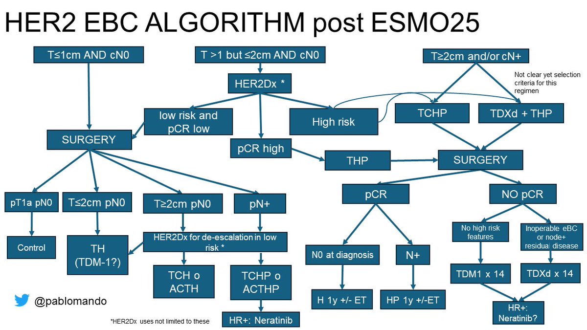 PabloMando's tweet image. HER eBC management is improving survival but more complex. Here is a proposed algorithm with new advances post @myESMO #ESMO25 What do you think? What would you change? @matteolambe @PTarantinoMD @E_de_Azambuja @stolaney1 @Rodrosb @ElisaAgostinett @ErikaHamilton9 @hoperugo