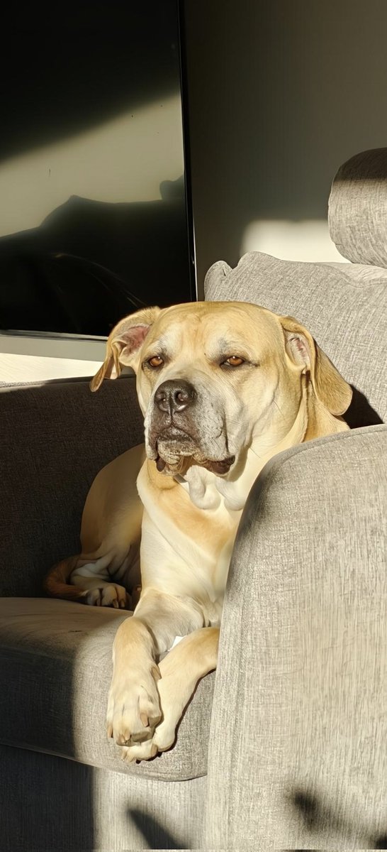 _Frodda's tweet image. Prinsessan