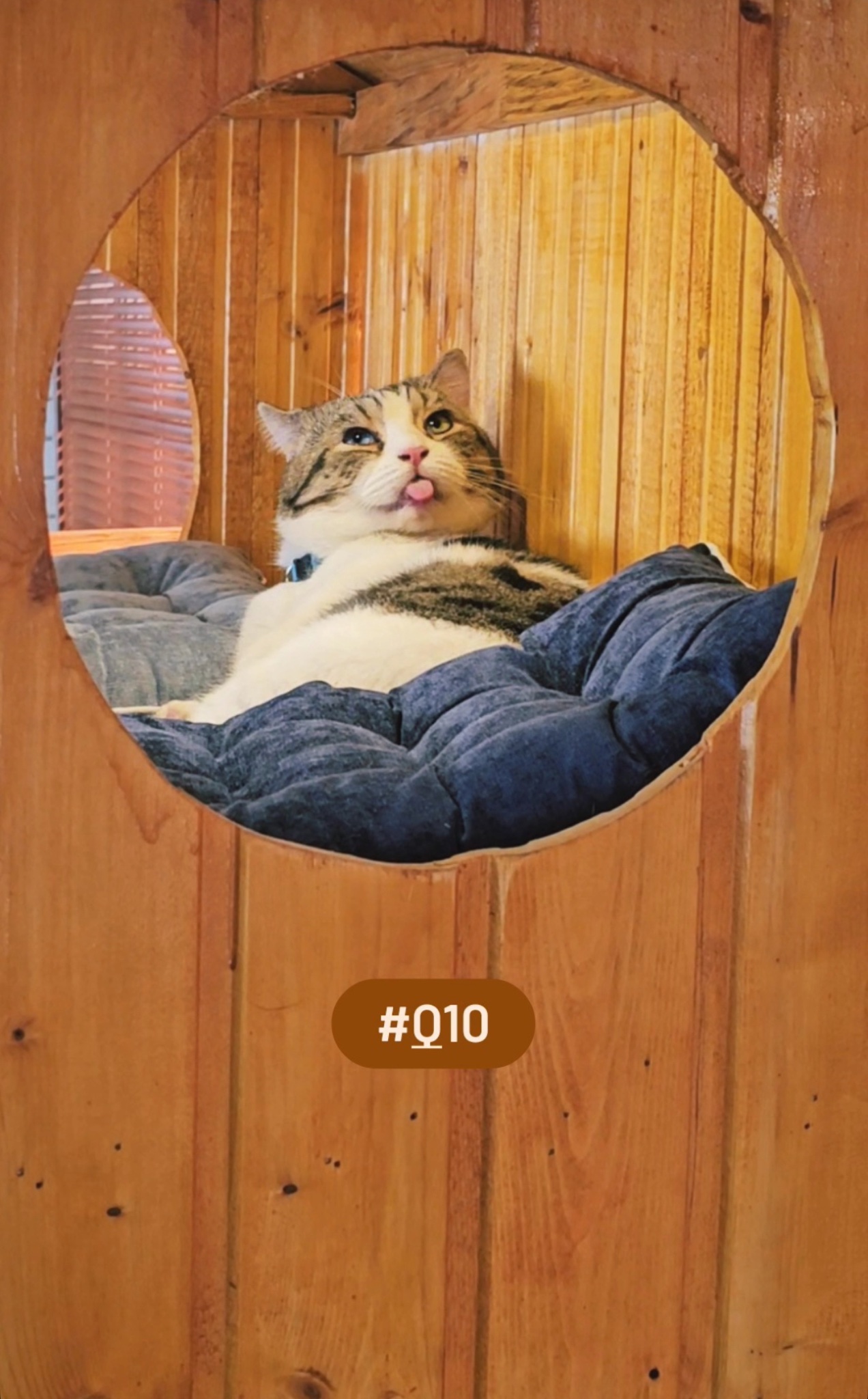 ★Risha★FirstKhaotung Firstkhaotung International Fans (@FirstKhaoFans) / X