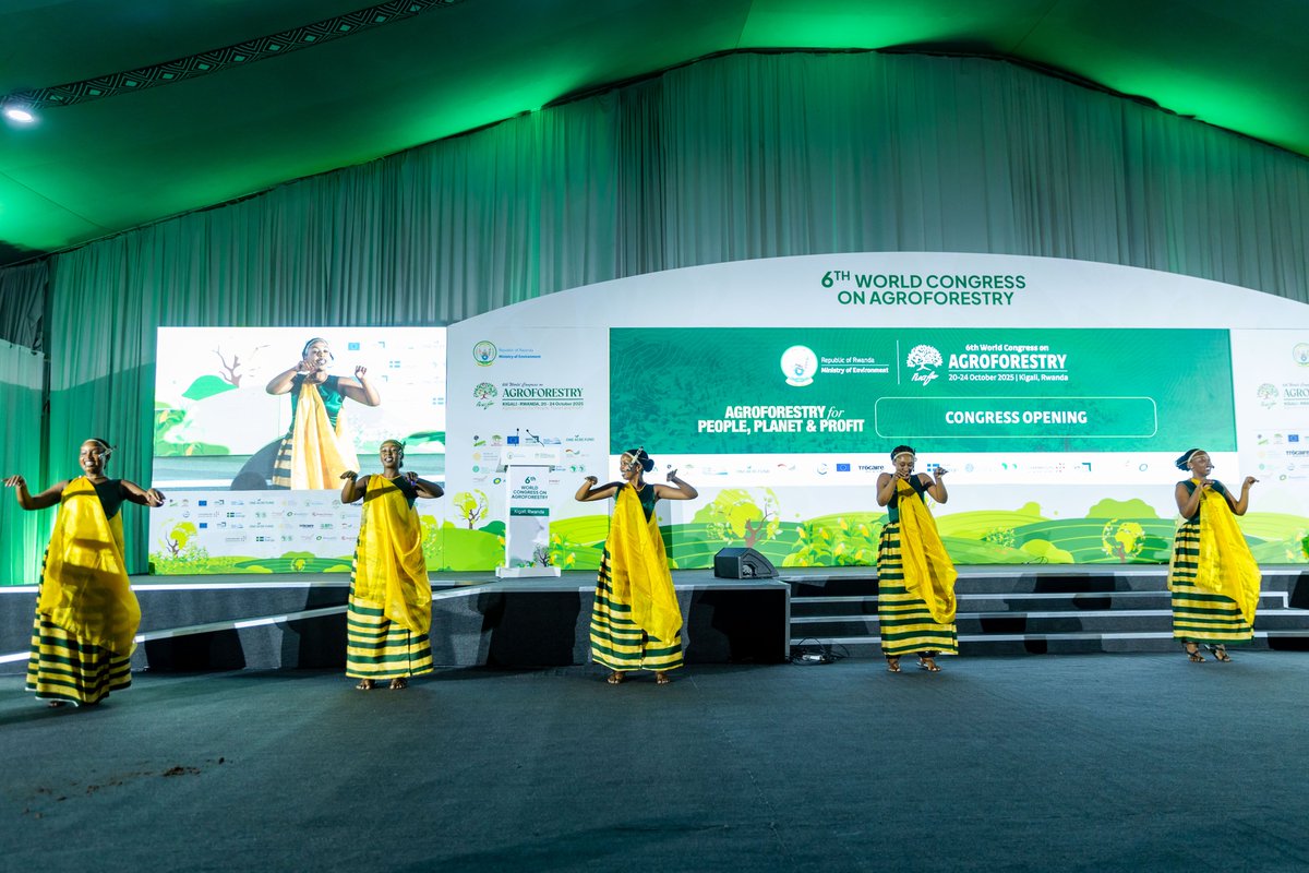 wcagroforestry's tweet image. To mark the opening of the 6th World Congress on Agroforestry, @Inganzongali troupe welcomed the participants with a warm Rwandan traditional dance performance.
#WCA2025🌳 | #Agroforestry