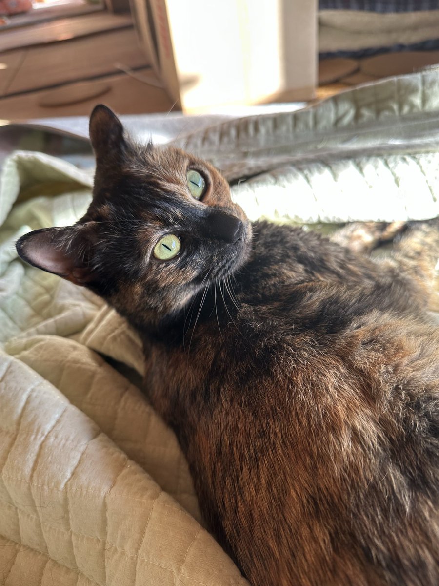 りこ (@1108ricowan) / Posts / X