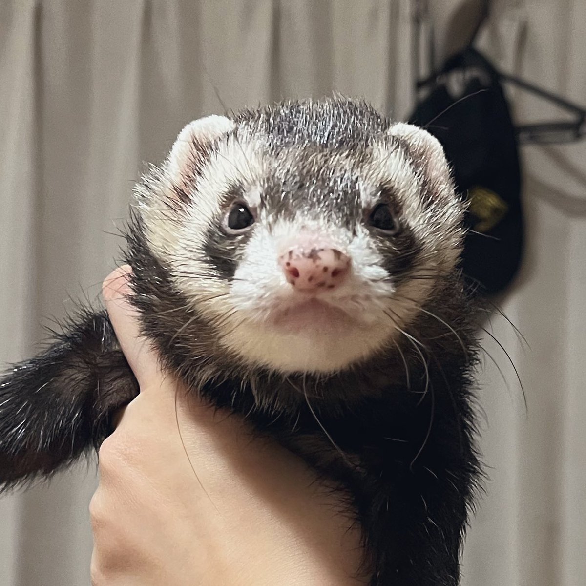 ケンボ、優しい顔つきになった気がする。