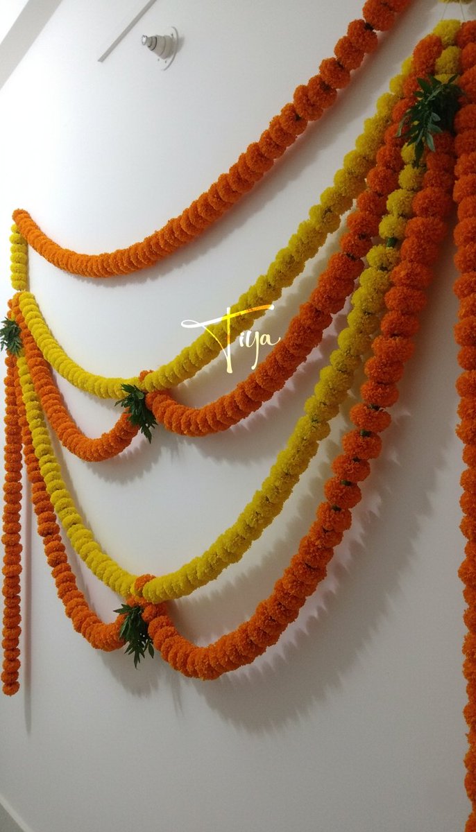 _SoulfulGirl's tweet image. Diwali Vibes 🪔
🗽⃢⃢ #TiyazTea #DiwaliVibes #Deepawali #HappyDiwali #เขมจิราต้องรอดseries #더블유