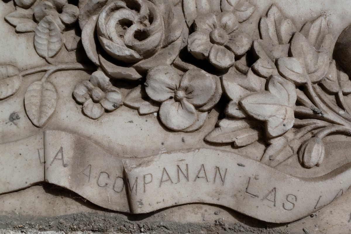 filocalus's tweet photo. 28_ Sacramental de San Isidro (Madrid 🇪🇸)

#31daysofgraves Day 20: wreath

#tombtober #typelovers #phylactery #sanstype #typography #lettercutters #stoneengraving #stonecarving #heritage #cemetery #grave #memorial #epitaph https://t.co/oLIZMiM1Hq
