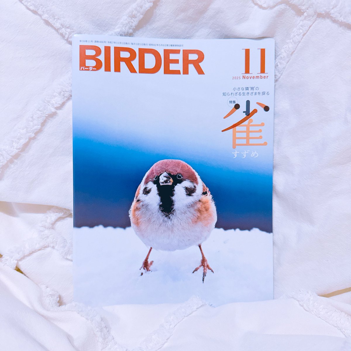 美品【BIRDER 】2023年 BIRDER（バーダー） 2023年12月号 (発売日2023年11月16日) | 雑誌/電子