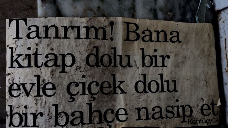 Zehra Ağırman (@agirmn_zehra) on Twitter photo 