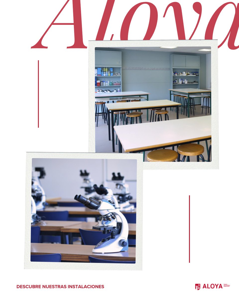 ALOYA Centro de Estudios Superiores tweet media