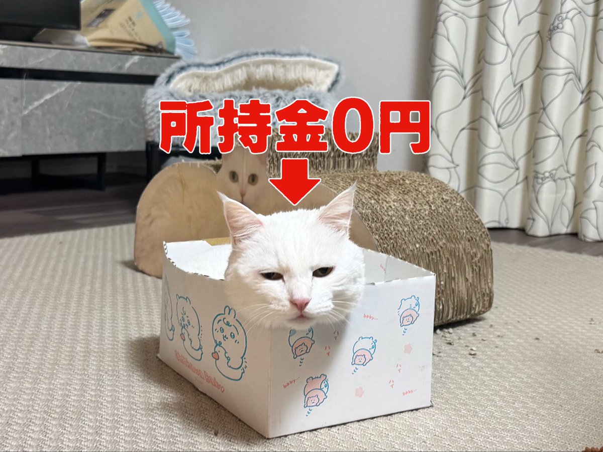 ハク様 (@hakusama0906) / Posts / X