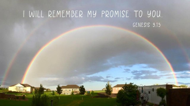 SpringSteps's tweet image. &quot;God made a covenant with Noah in Genesis 9, promising to never again flood the entire world to destroy all life. It doesn&apos;t assume any future righteousness from the human race...God simply covenants that He will never again destroy the earth with a flood.&quot; 
- Dr. Chuck Missler