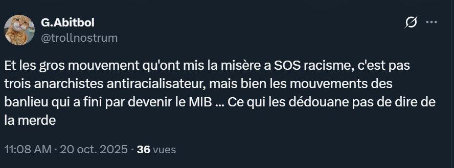 Je pense que cette personne est très mal renseignée parce que c'est quand même étrange d'invisibiliser complètement le mouvement des sans papiers de 96 qui est le moment où SOS s'est fait physiquement sortir de la lutte (et pas juste évincer dans des logiques politicardes)