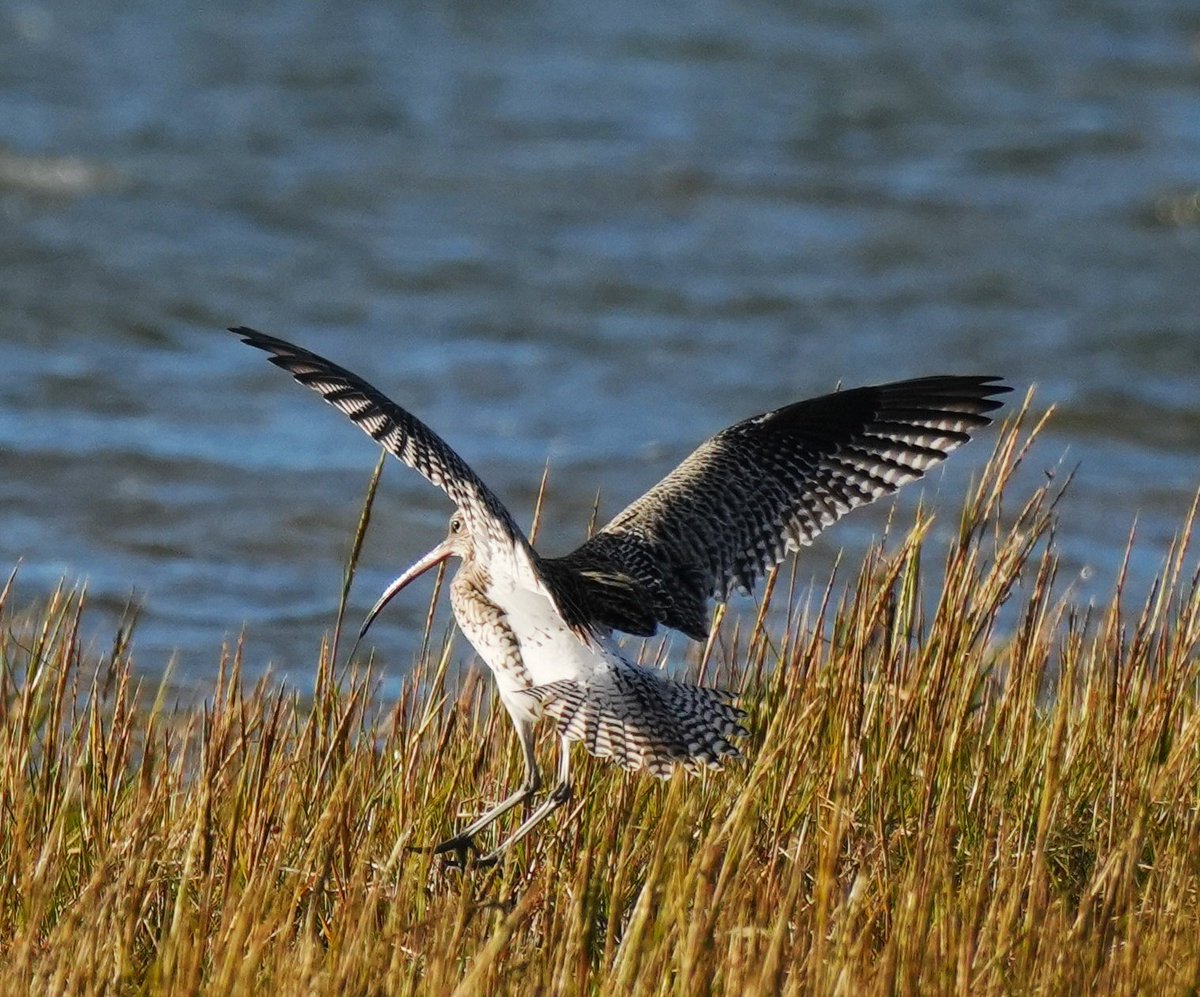 Anna Wood tweet media