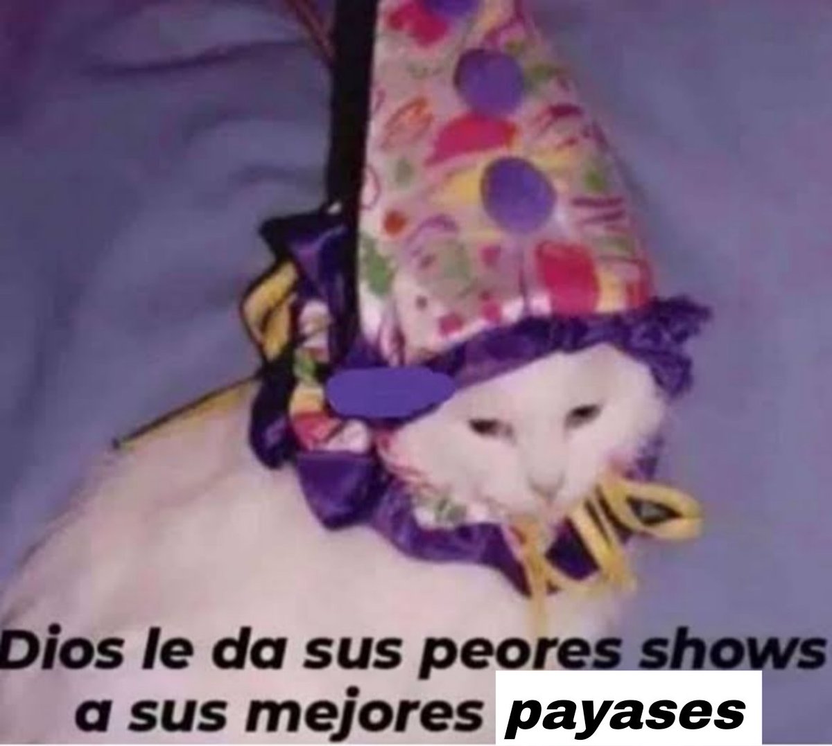 Lux. (@lmelivora) on Twitter photo 