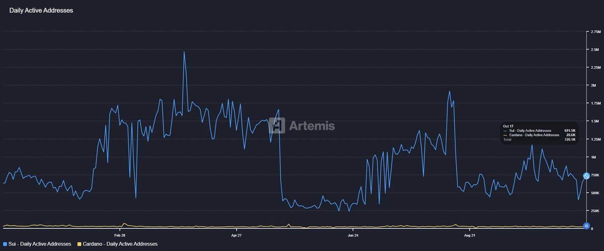 eye zen hour 🥶 tweet media