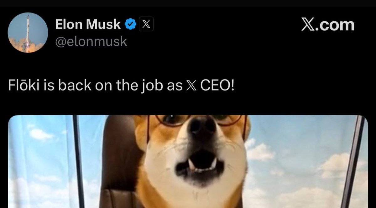 XnewceoEth's tweet image. $Flōki is live on eth 

0x0d75446b9787793f074e0f86df733c323877f973