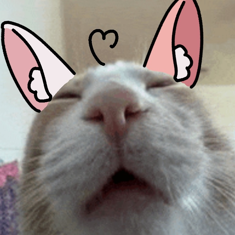 CarotteVT's tweet photo. I tire today, please send reinforcements https://t.co/aUksDGaFan
