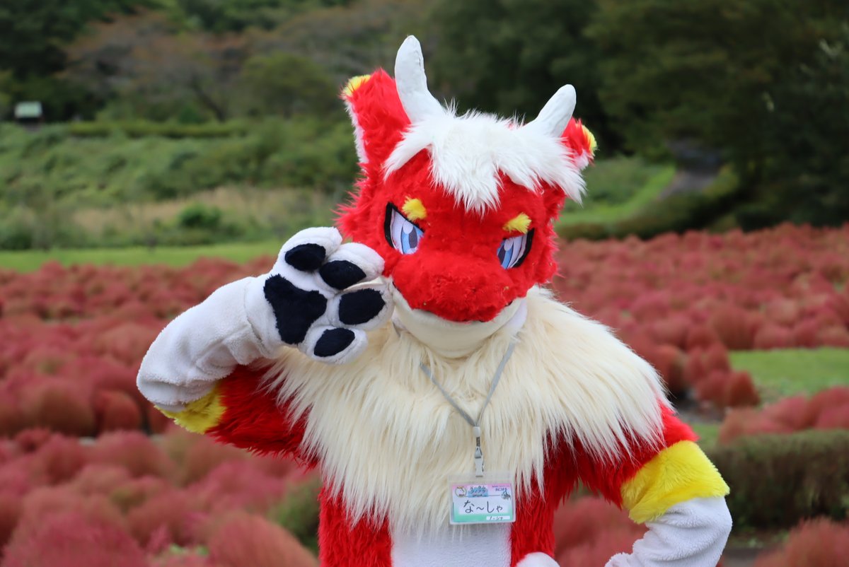endomiru_dra's tweet photo. 久々! https://t.co/w2s0bAuepq