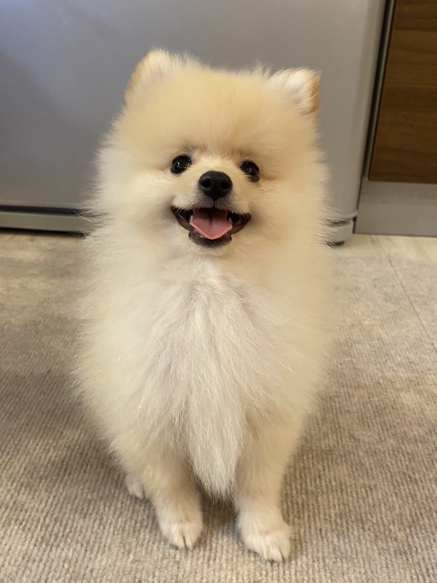 ぱっちゃん on X